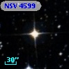 NSV  4599