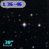 L   36-46