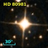HD  80981