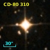 CD-80   310