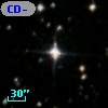 CD-81   298