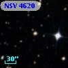 NSV  4620