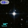 CD-80   262