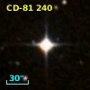 CD-81   240