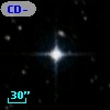 CD-81   241