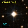 CD-81   246