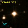 CD-81   275