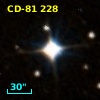 CD-81   228