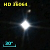 HD  36064