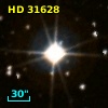 HD  31628