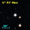 V* RY Men