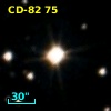 CD-82    75