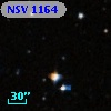 NSV  1164
