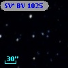SV* BV  1025
