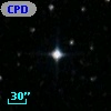 CPD-80    73