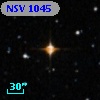 NSV  1045