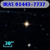 IRAS 01443-7737
