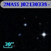 2MASS J02130338-7545248