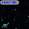 FAUST  305