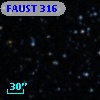 FAUST  316