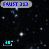 FAUST  313