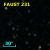 FAUST  231