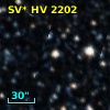 SV* HV  2202