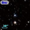 Bruck 155