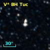 V* BH Tuc