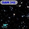 SkKM 341