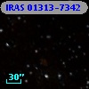 IRAS 01313-7342