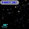FAUST  202
