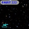 FAUST  222