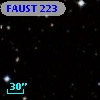 FAUST  223