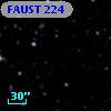FAUST  224