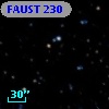 FAUST  230
