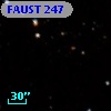 FAUST  247