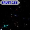 FAUST  263