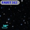 FAUST  312