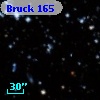 Bruck 165