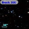 Bruck 166