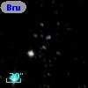 Bruck 167