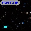 FAUST  210
