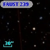 FAUST  239