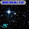 [BKB2004b] 310