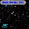 [BKB2004b] 391
