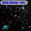 [BKB2004b] 445