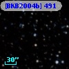 [BKB2004b] 491