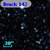 Bruck 142
