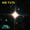 HD   7175